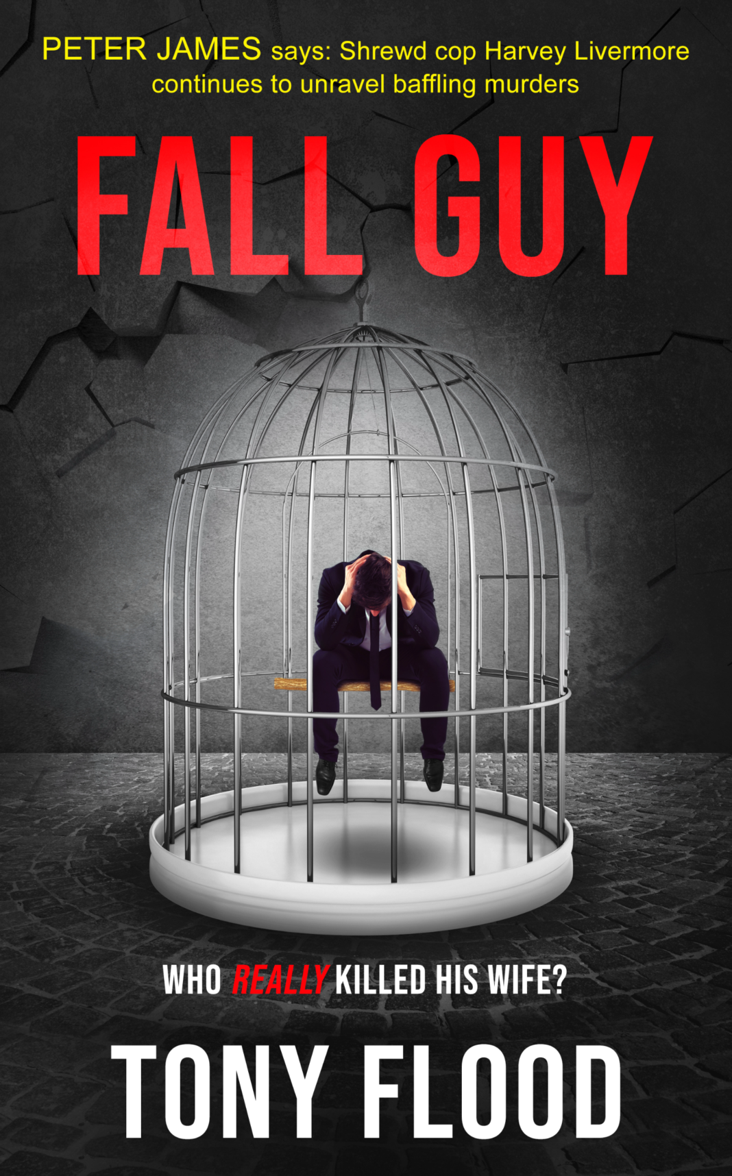 Fall Guy – Who Really Killed His Wife?