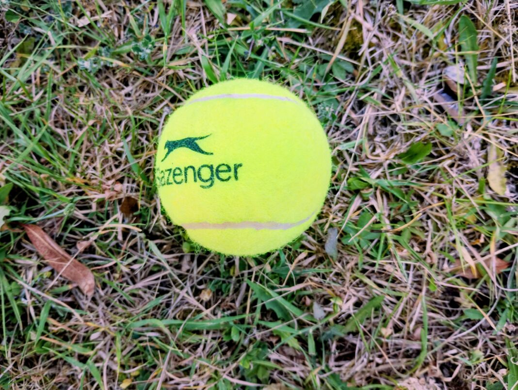 The Tennis Ball