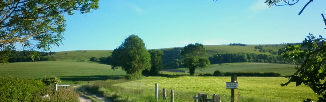 The Downs