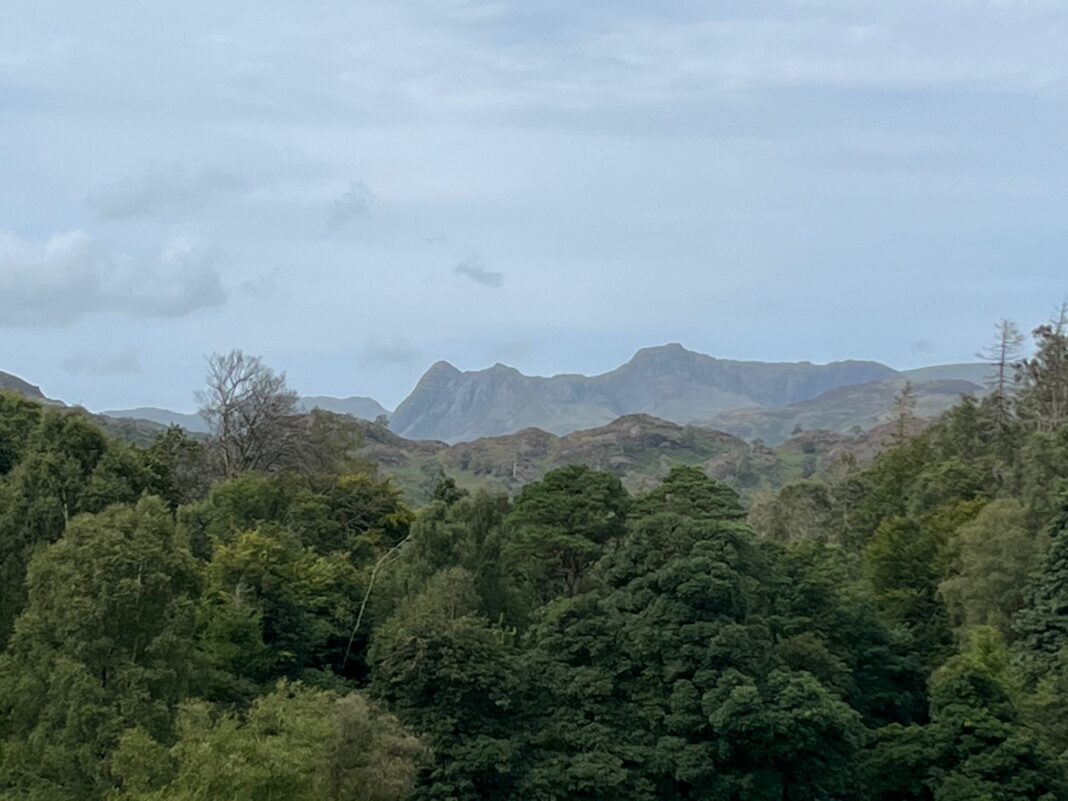 Thank You For Being ‘There’